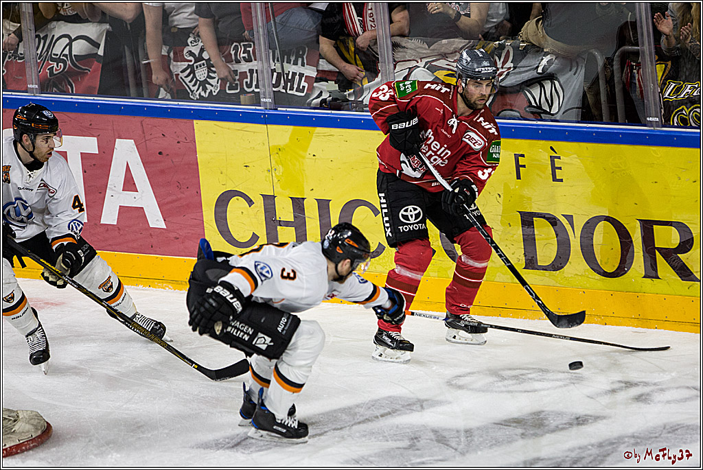 DEL, Koelner Haie - Grizzlys Wolfsburg, 17.03.2017